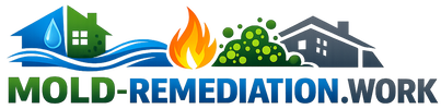 Mold Remediation